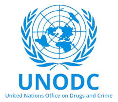 UNODC Raises Alarm Over Growing Global Illicit Drug Supply