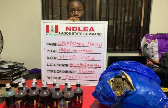 Europe-bound teenage student arrested with Meth consignment at Abuja airport