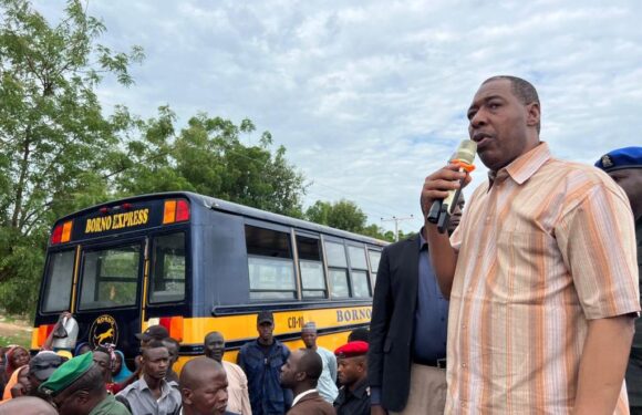 Palliative for fuel subsidy removal: Zulum rolls out 80 buses, pick up vans to commune farmers to/from farmers