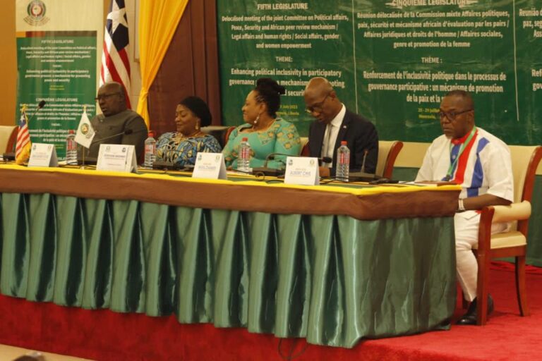 Inclusion of Vulnerable, Marginalized Groups in Decision Making Key to Ending Crisis in West Africa- Tunis