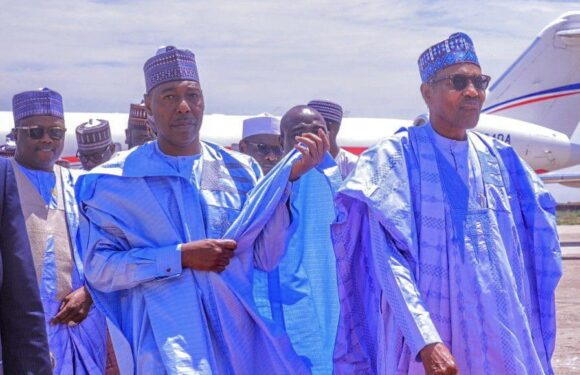 Buhari receives bride for Zulum’s son as VP, Governors, Dangote, others attend wedding
