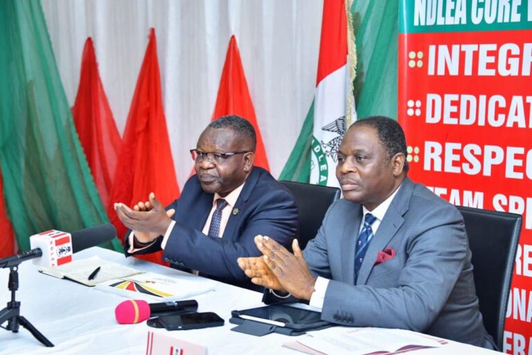 Nigeria, South Africa Forge Ties to Enhance Fight Against Drug