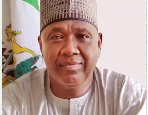 Former Minister Appointed SSG in Borno