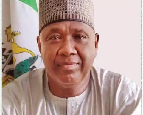 Former Minister Appointed SSG in Borno
