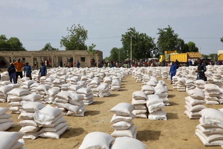 Tinubu’s food emergency: Zulum visits Baga, shares food to 23,000 households