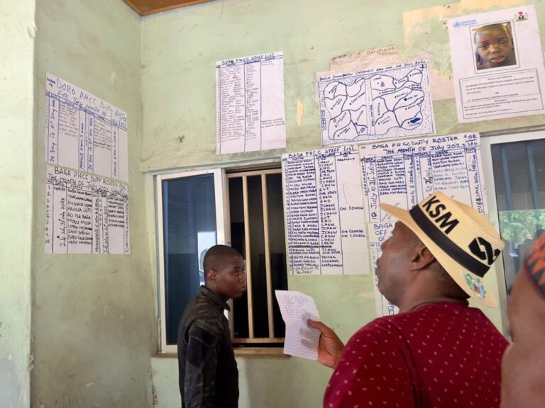 Zulum Orders Rehabilitation of Hospitals, School