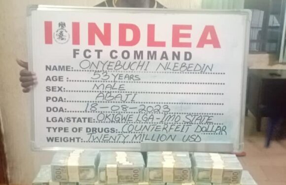 NDLEA raids drug warehouse in Lagos, recovers N4.8billion worth of opioids***Intercepts $20miilion counterfeit notes in Abuja