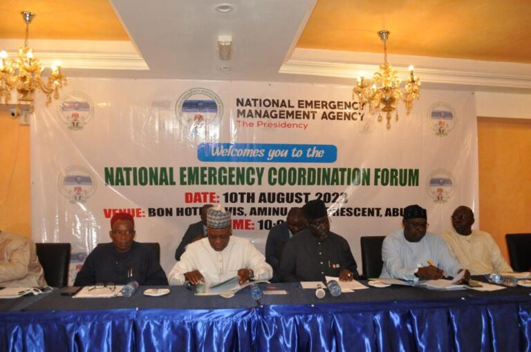 About 34,000 Already Affected by Flooding in 2023- NEMA