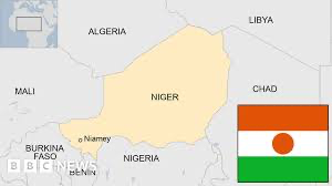 Nigerian Embassy in Niger Not Razed- Ambassador