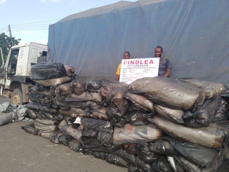 NDLEA destroys 40 tons of cannabis plants in Ekiti; intercepts over 4,000kgs of illicit drugs in Lagos, Kogi, FCT, Kaduna, Sokoto, Edo raids