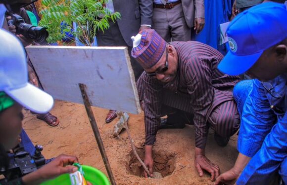 Desertification: Zulum flags off 1.2m trees’ planting in Borno… Target 10m trees in 2024