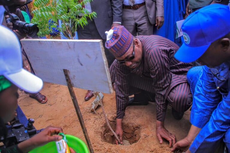 Desertification: Zulum flags off 1.2m trees’ planting in Borno… Target 10m trees in 2024