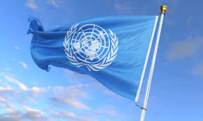 UN Commits to Invest in Development of Green Economy Skills in Youths