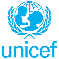 Over 50% Nigerian girls not attending basic school – UNICEF