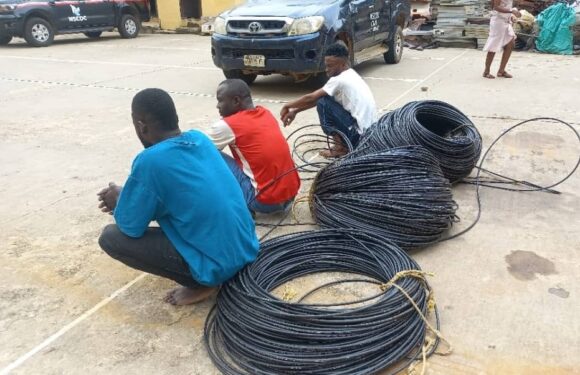 NSCDC Nabs 3 Suspected Vandals, Cable Thieves in FCT