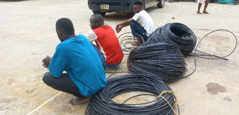NSCDC Nabs 3 Suspected Vandals, Cable Thieves in FCT