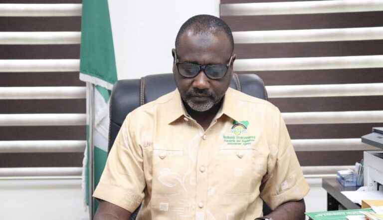 NESREA Bags Public Service Award for Environmental Technology