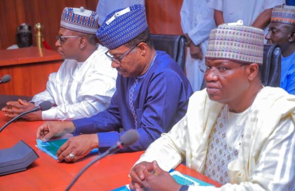 Zulum: With our 3 Professors, repositioning Borno’s healthcare is now or never 