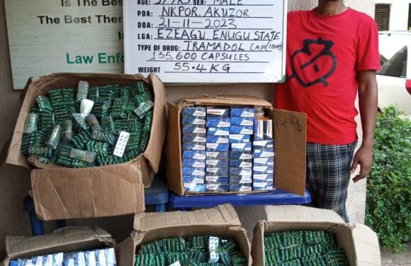 NDLEA Smashes Illicit Drug Abuse Party in Osogbo