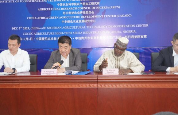 Chinese Govt Boosts Peanut Production in Nigeria with Training