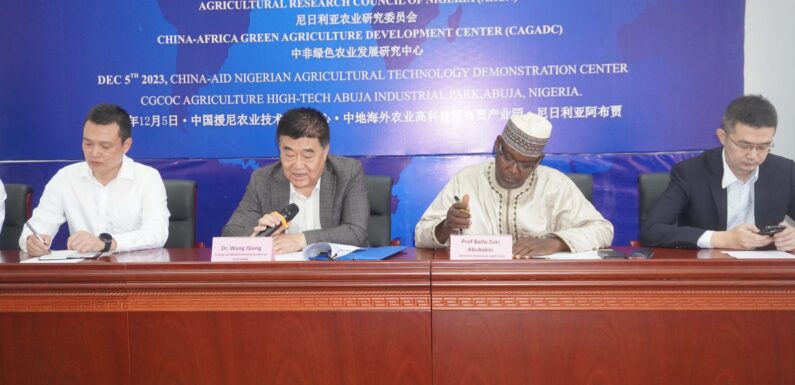Chinese Govt Boosts Peanut Production in Nigeria with Training