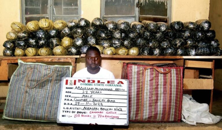 NDLEA Smashes Attempts to Smuggle Drugs in Jeans Hems, Dolls, Buttons to Europe, Asia