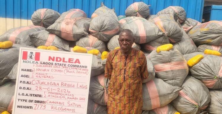 NDLEA Arrests ‘deaf and dumb’, for dealing in illicit substance…Intercepts 14.5 tons of Ghanaian Loud linked to wanted drug baron in Lagos
