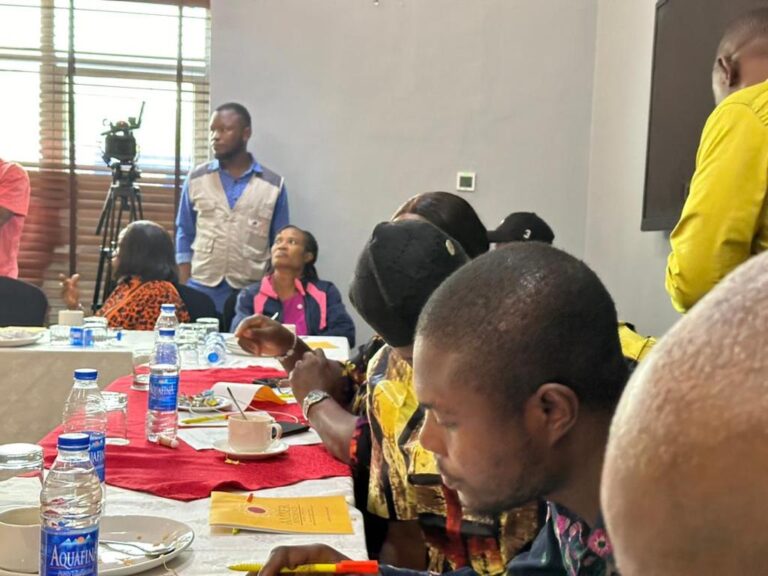 CSOs, Medıa Organisations, Urge Malı Burkına Faso, Niger Juntas To Refrain From Transforming To Civilian Rulers, Call for Dialogue Against Withdrawal from ECOWAS