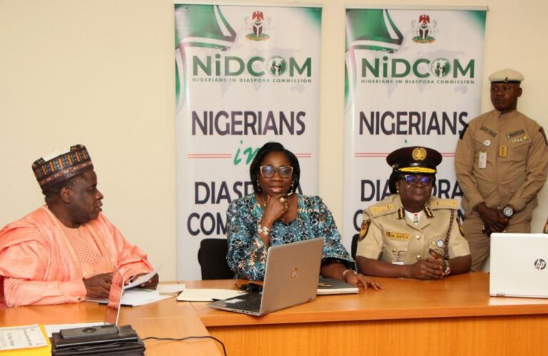 FG Assures Nigerians in Diaspora Seamless, Efficient Passport Processing System