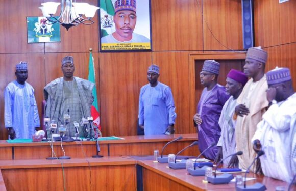 Zulum inaugurates committee on farmer-herder conflict, others