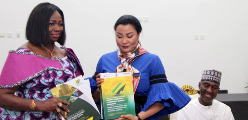 Industry Ministry, NIDCOM Partner to Boost Diaspora Investment Opportunities