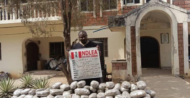 NDLEA Intercepts Large Consignment of Loud Concealed in Loudspeakers at Lagos Airport