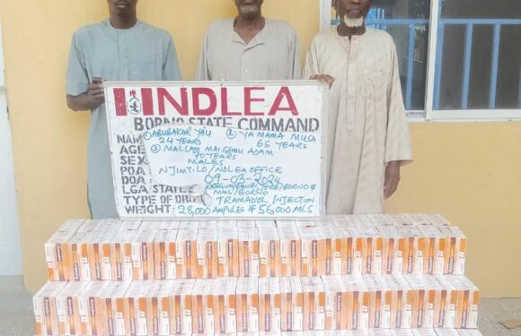 NDLEA uncovers illicit drug consignment in commercial bus engine, arrests two grandpas