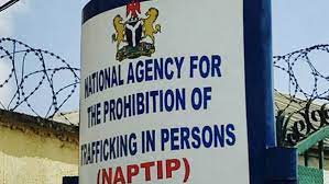 Human Trafficking: NAPTIP Warns Nigerians Against Fake Oil and Gas Job Offers in West African Countries
