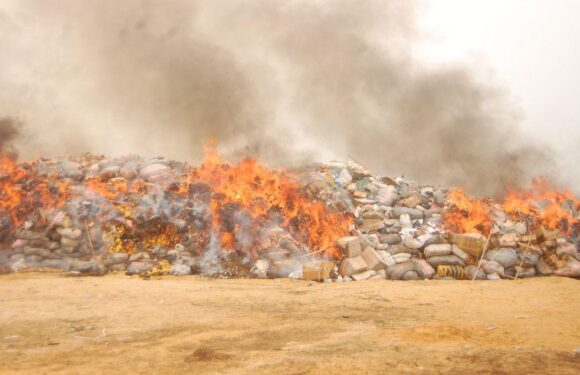 NDLEA Destroys 304,436kg, 40,042 litres of Illicit Drugs Seized in Lagos, Ogun