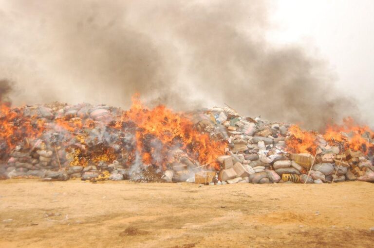 NDLEA Destroys 304,436kg, 40,042 litres of Illicit Drugs Seized in Lagos, Ogun