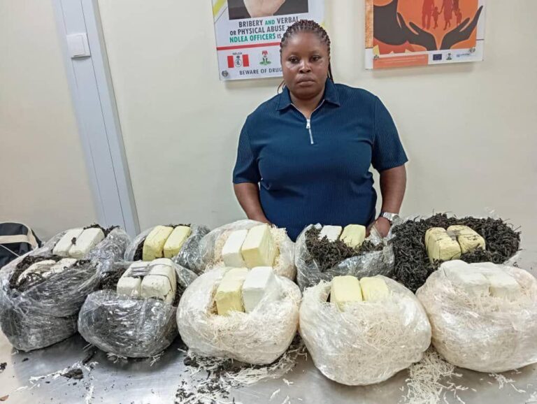 NDLEA intercepts Qatar-bound illicit drugs concealed in African salad, dried vegetables
