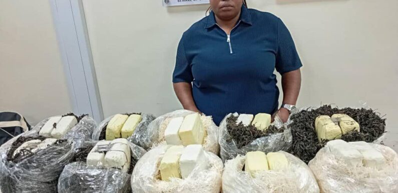 NDLEA intercepts Qatar-bound illicit drugs concealed in African salad, dried vegetables