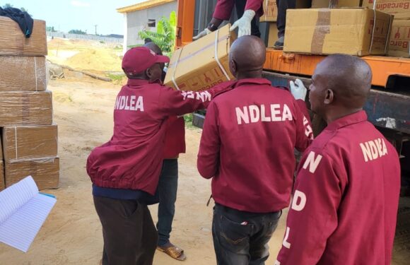 NDLEA intercepts 3 trailer loads of opioids, seizes 3.5million pills, 344,000 codeine bottles. Arrests 75-year-old grandpa, 70-year-old grandma over dealing in illicit drugs