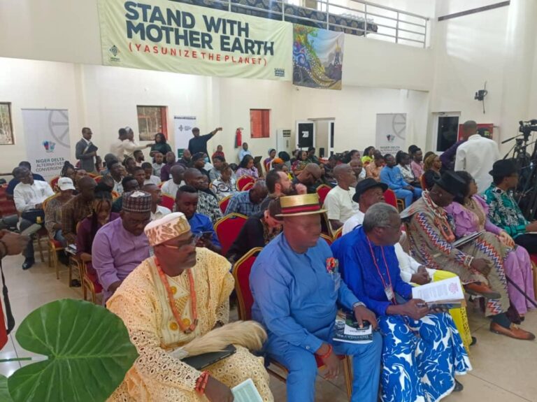 PIA Inadequate in Addressing Challenges of N’Delta Region, Says Group