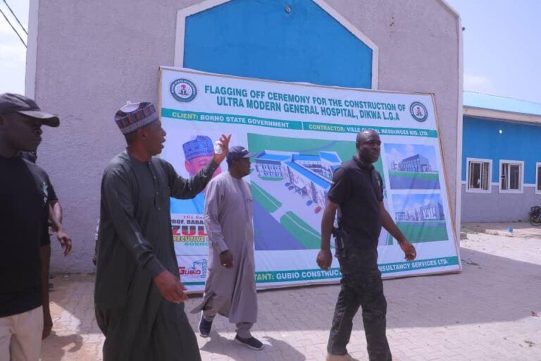 Zulum begins 100-bed hospital, market complex in Dikwa