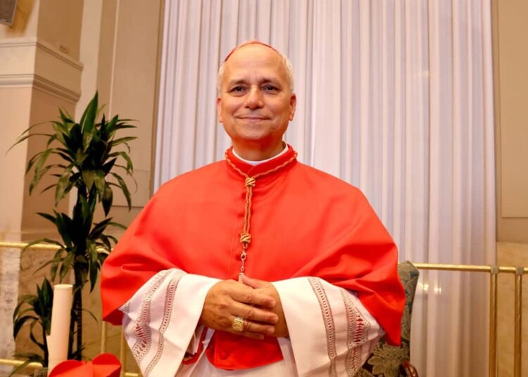 Nigeria’s Catholic bishops congratulate Pope Leo XIV