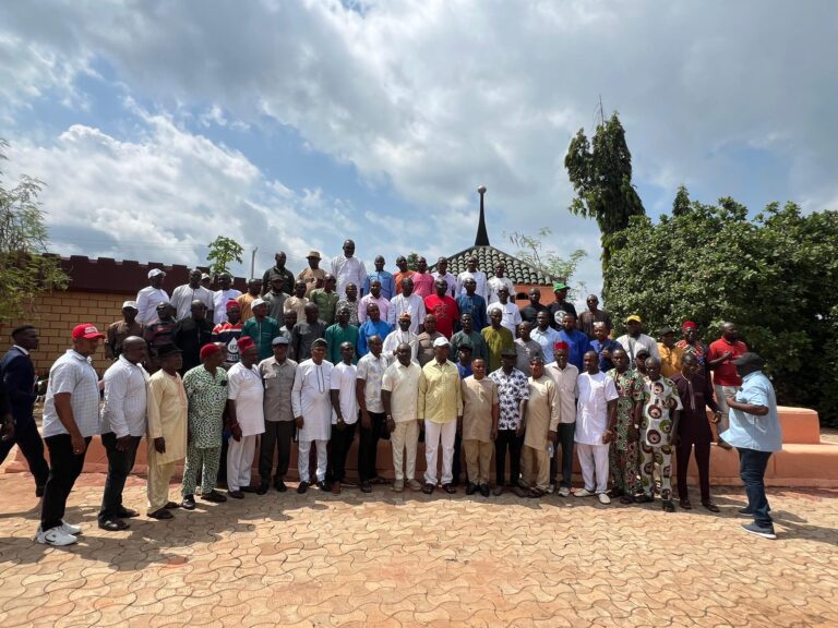 2027: Sen Ned Nwoko Garners Confidence Vote from Delta North APC Ward Chairmen