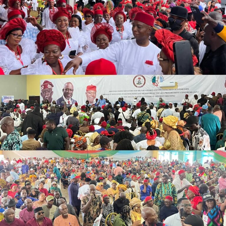 Delta North APC forms Leadership Council: Passes vote of confidence in President Tinubu, Governor Oborevwori, Senator Nwoko