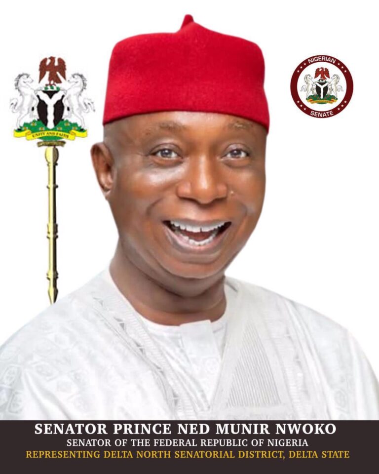 Senator Ned Nwoko announces full scholarships for 90 students across Delta North
