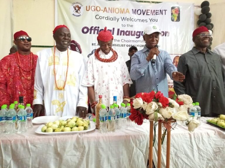 Sen Ned Nwoko: Ugo Anioma Movement passes vote of confidence in his leadership