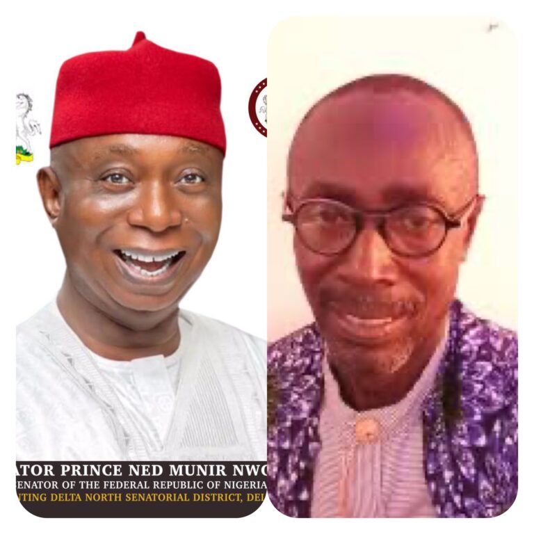 Chief Waboke thumbs up for Sen Ned Nwoko as standout legislator in Delta State