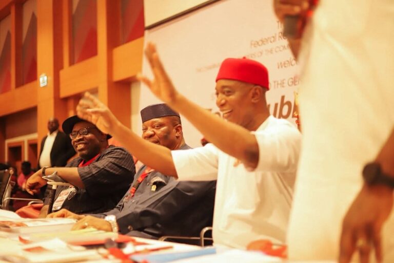 ANIOMA state creation: Senator Ned Nwoko says support from Delta North has been “momentous, colossal, and irreversible.”