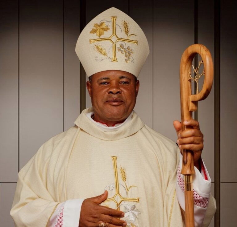 Anambra catholic bishop survives car accident