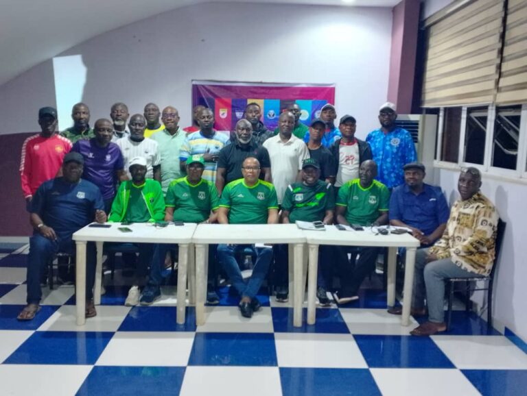 NNL Super Eight  Promotion Play-Offs holds today